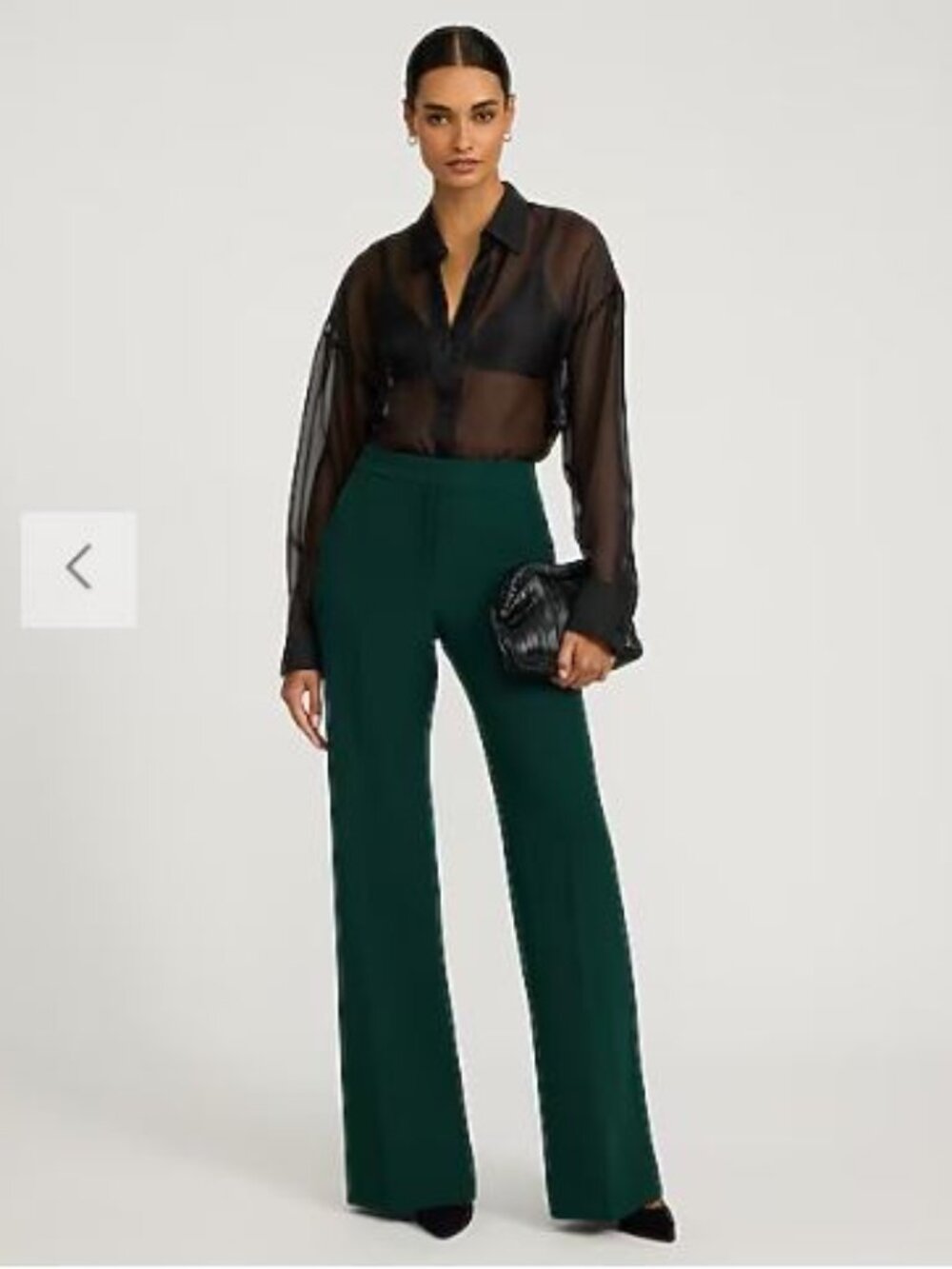 NWT Express Editor Signature Stretch High Waisted Flare Trouser